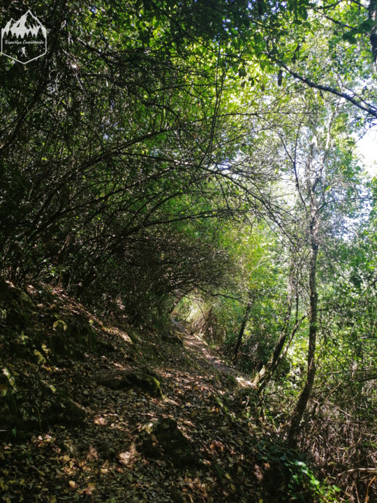 Photo_1596312401761.jpg Photo_1596312401761.jpg