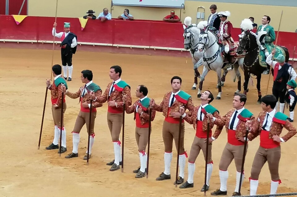 Concurso de Ganadarias 2023.jpg
