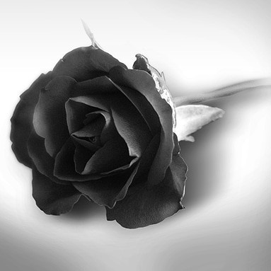 IMG_20190219_213731_999.jpg IMG_20190219_213731_999.jpg