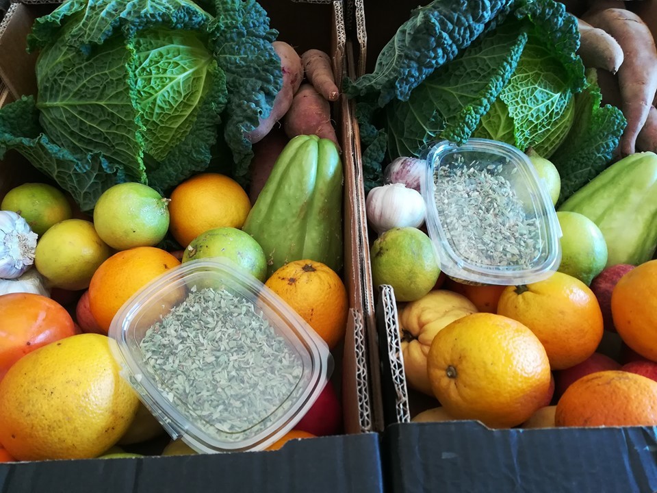 71522158_1485628058243617_4998718694134644736_n.jp 71522158_1485628058243617_4998718694134644736_n.jp