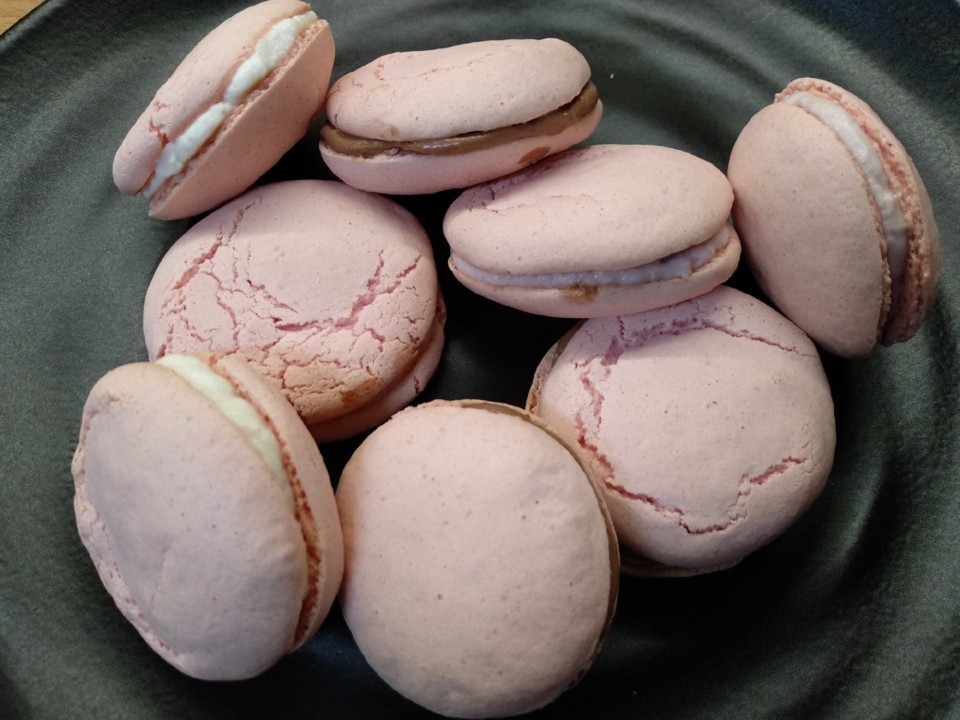 118282920_640977189859133_7232330248904851799_n.jp