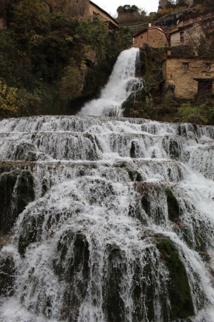 20191128125158_IMG_1712_resized_20200116_100705022