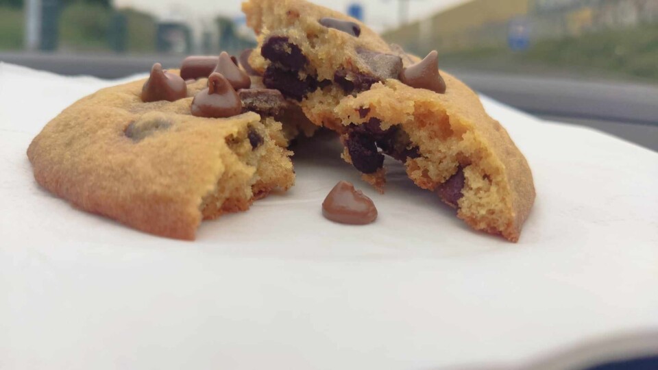 434185789_940715514206176_9164998697597544875_n.jp