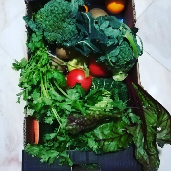 611287711_18520805869066958_1895408927748994252_n.