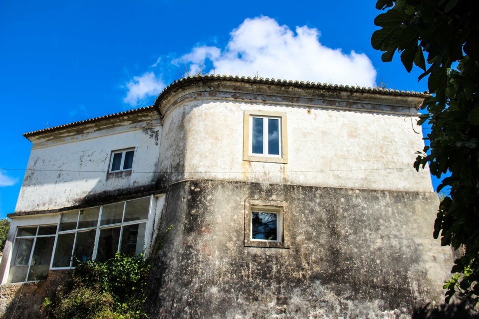 trilho das vinhas-50.jpg