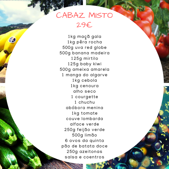 242506737_2123352614471155_3104242598884892216_n.p