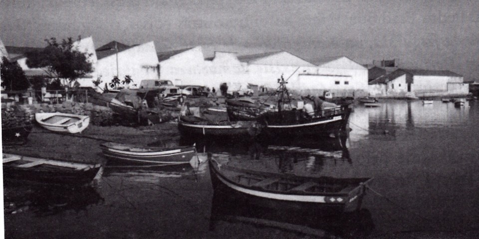 Totalimento na ex Mundet foto Manuel Lima.jpg Totalimento na ex Mundet foto Manuel Lima.jpg