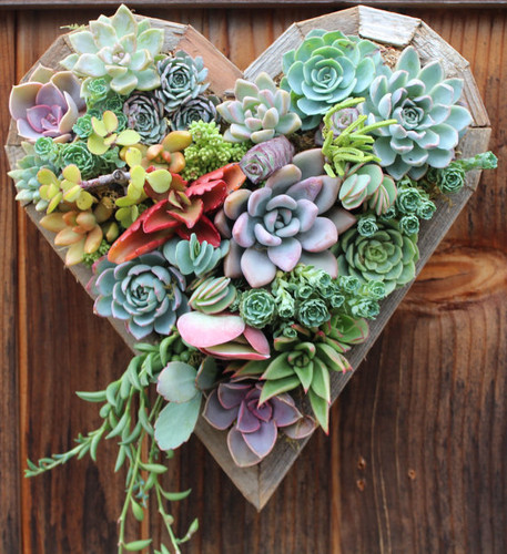 il_570xN.788711073_e8gd.jpg il_570xN.788711073_e8gd.jpg