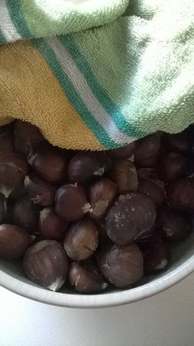 WP_20151108_001.jpg WP_20151108_001.jpg