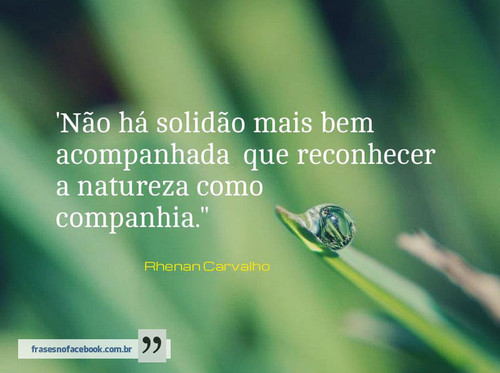 frases-sobre-a-natureza-forte-e-grandiosa-12.jpg