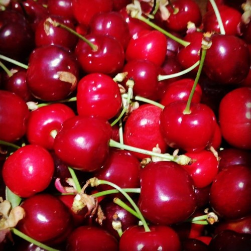 33854345_1103892873083806_2685387272001421312_n.jp