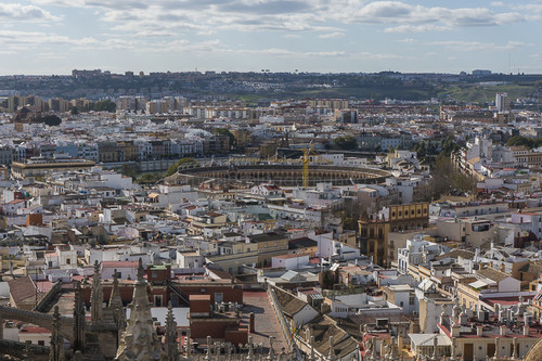 DSC02616.jpg DSC02616.jpg