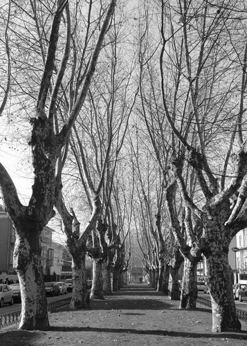 Uma vista...um pormenor...