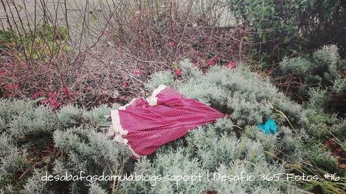 guardachuva.jpg guardachuva.jpg