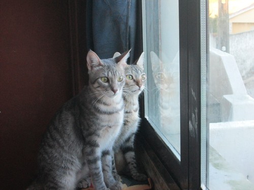 thumbnail_IMG_3151.jpg thumbnail_IMG_3151.jpg