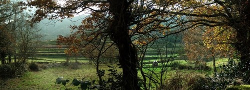 Fotografia(ExposicaoPortoEste2017)ProcAdjAlbertoMC