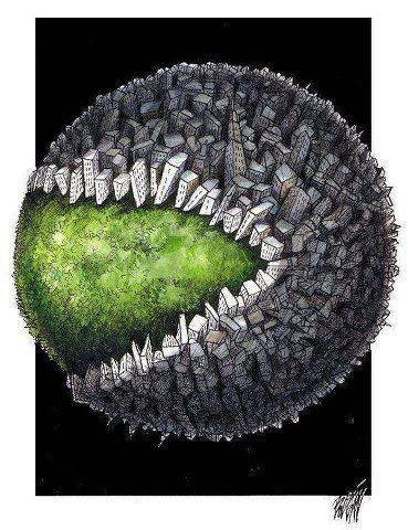 12573936_1242163335797315_1660607239175587547_n.jp