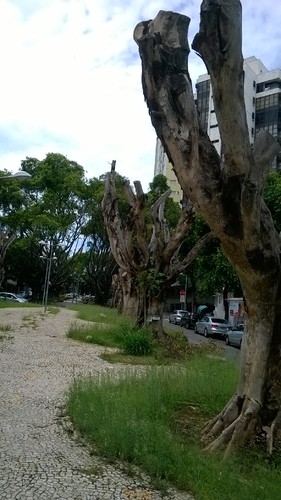 WP_20151212_023.jpg WP_20151212_023.jpg