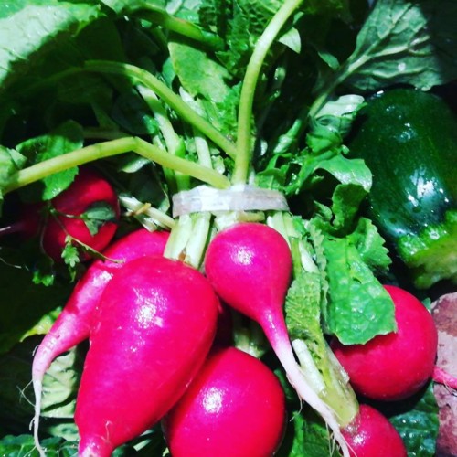 30689104_1078950228911404_6237884459117142056_n.jp