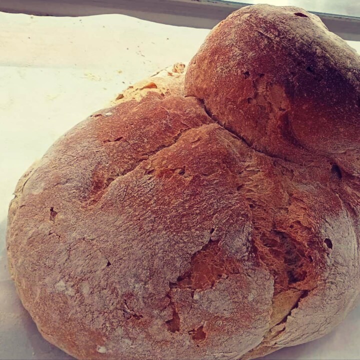 466387243_957548296402581_3549911942125046827_n.jp