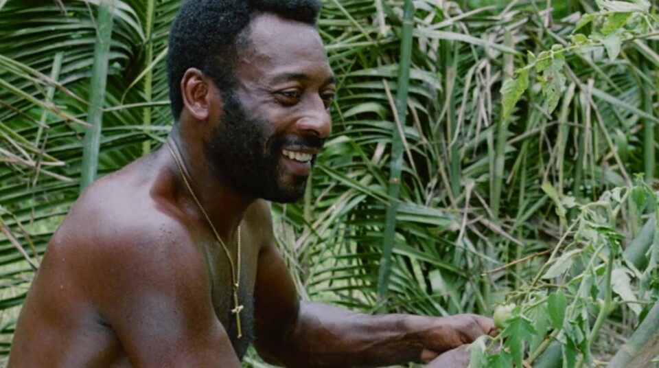 MV5BZDlhMWJjZWYtMWEyNi00NTNlLWJlMGYtYTA2OTVhOWI2MD