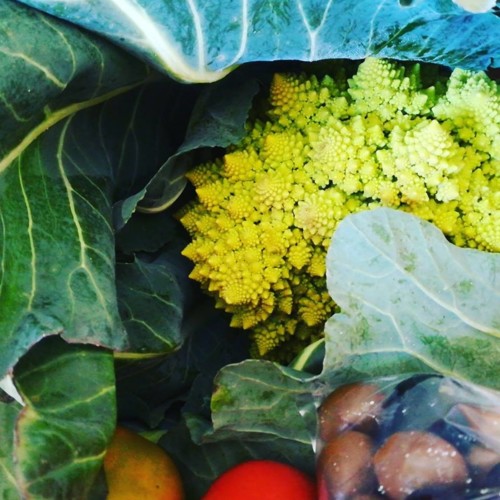 52047611_1307426779397080_8462680728268701696_n.jp