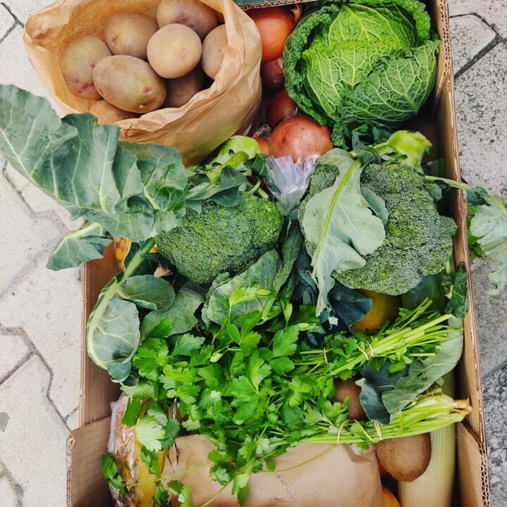 423132130_767645358726210_5114160832647156687_n.jp