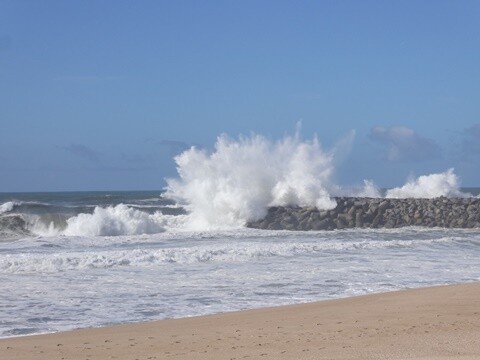 22b_Espinho (8).JPG