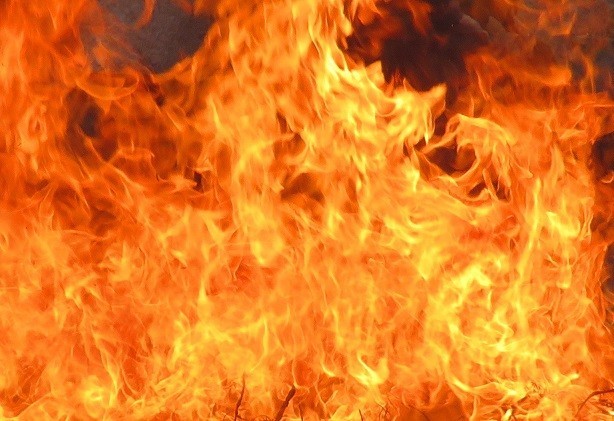 Tanto por taopouco.JPG