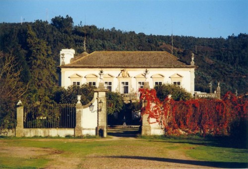 O Palácio visto do jardim.jpg
