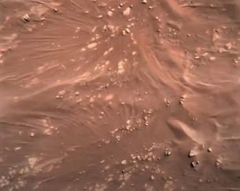 Screenshot_2021-02-22 Vídeo da NASA mostra os mom
