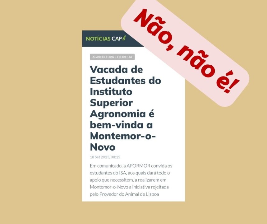 Montemor-o-Novo.jpg