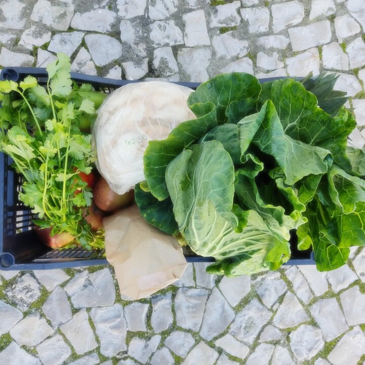 409969697_742093057948107_8388080381065293134_n.jp