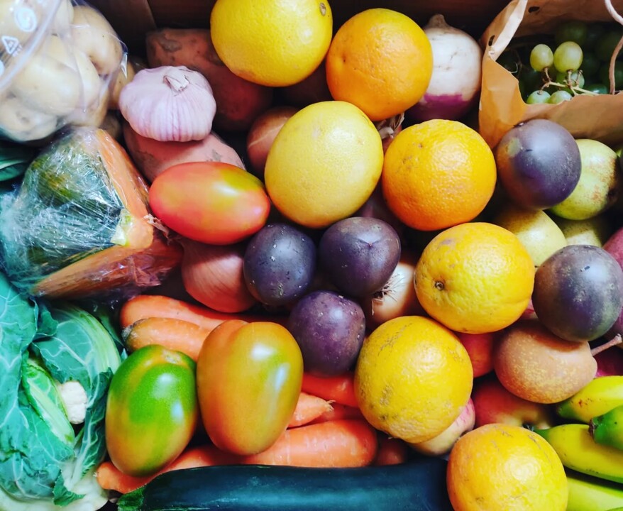 555724066_18501666493066958_8185348162894636690_n.