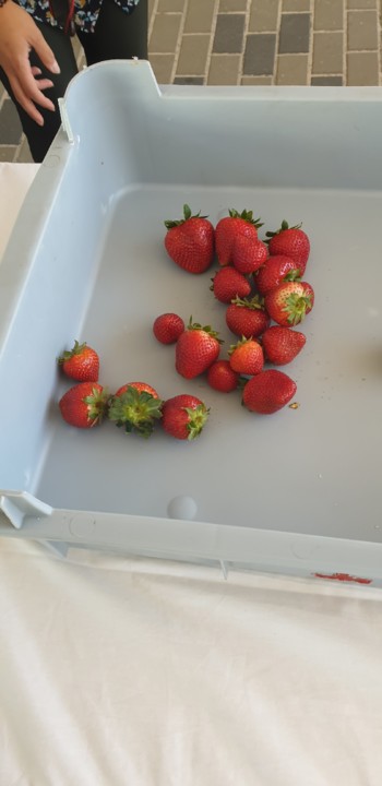 20190621_162710.jpg 20190621_162710.jpg