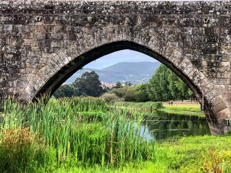 PNPGeresPyrrait (71).jpeg