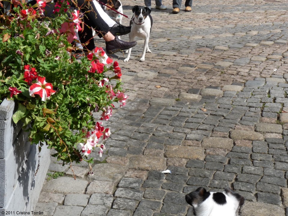 2011-09-16 Goslar 105.JPG