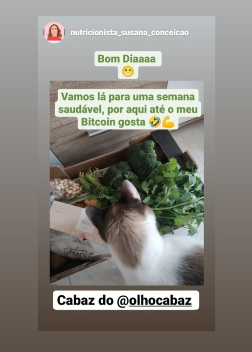 271486661_254010863572371_1018016803105497707_n.jp