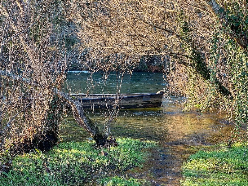 PNPGeresPyrrait (225).jpeg