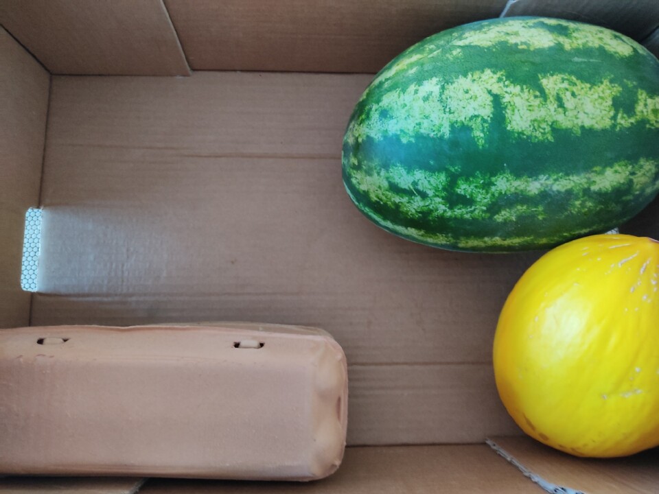 302021318_2394280630711684_5628833684786489903_n.j