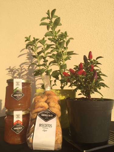 sabores da tê - vagos