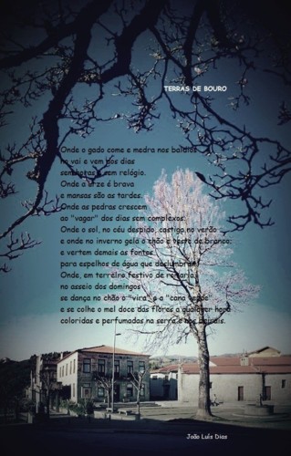 TERRAS DE BOURO FOTO 4.jpg