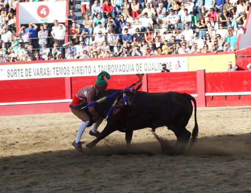 3Toiro Carlos Cabeça.jpg