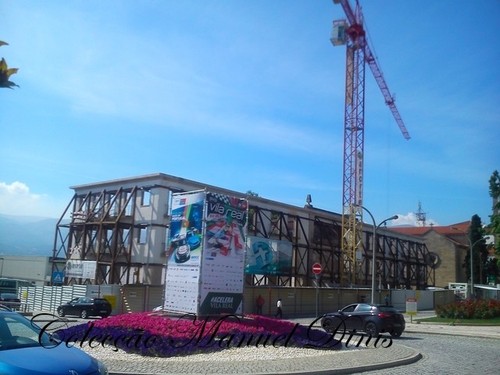 DSC_3119.jpg DSC_3119.jpg