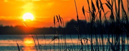 lake-reeds-sunset-landscape_1200x480-pixabay.jpg