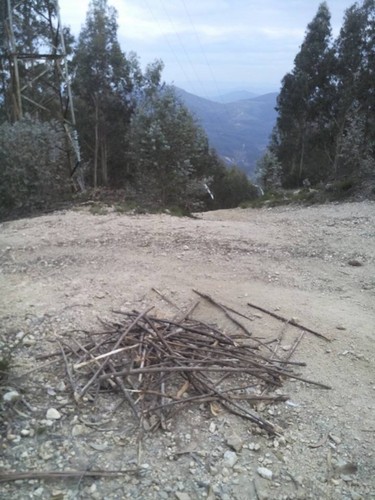 10418899_956948857648791_8761266640942965311_n.jpg 10418899_956948857648791_8761266640942965311_n.jpg