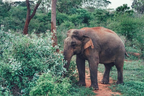 22195485_10214606765752915_7132056318986860139_n.j