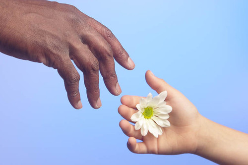 Person offering flower1.jpg.jpg