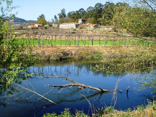 goo  regilde 4-2010 074[1].jpg