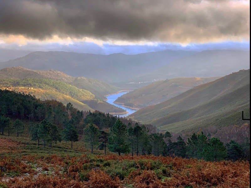 PNPGeresPyrrait (227).jpeg